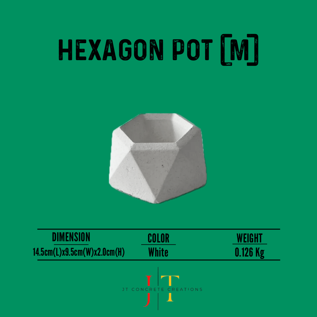 Hexagon Pot